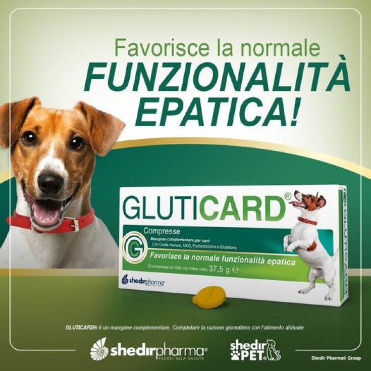 Gluticard® ShedirPharma® 30 Tablets