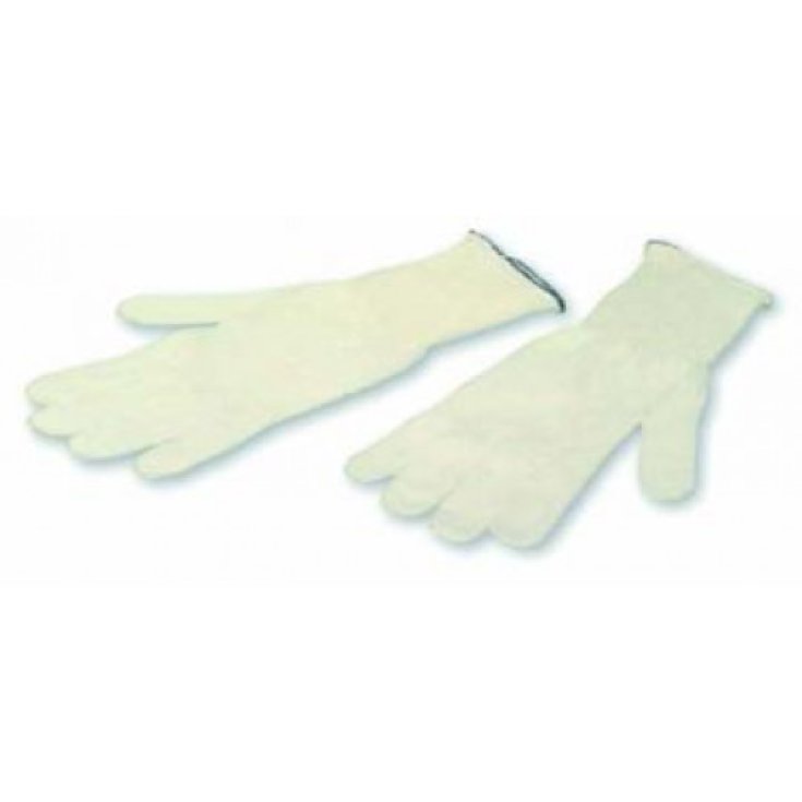 Scotland Thread Gloves Measure 6.5 Effebì 1 Pair