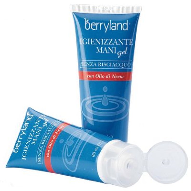 Hand Sanitizer Gel Berryland 80ml