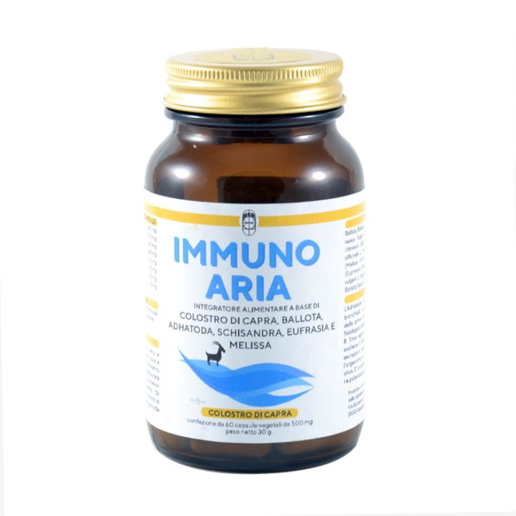 Immuno Aria Health Wellness Point 60 Capsules