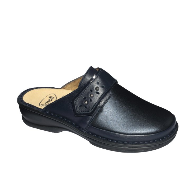 Lavinia Sholl's 1 Pair