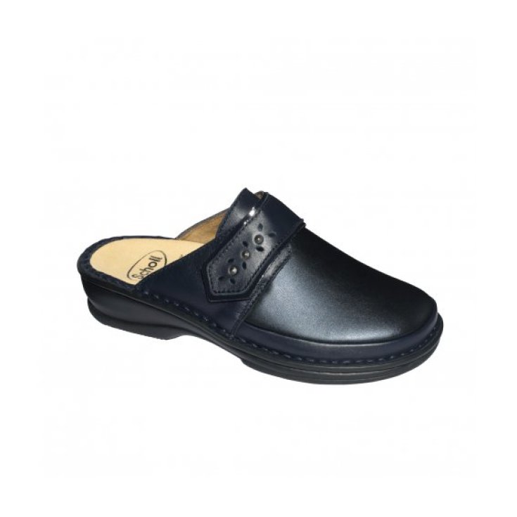 Lavinia Sholl's 1 Pair