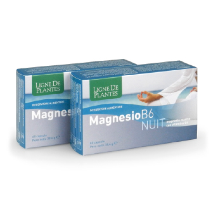 Magnesium B6 Nuit Ligne De Plantes 60 Capsules