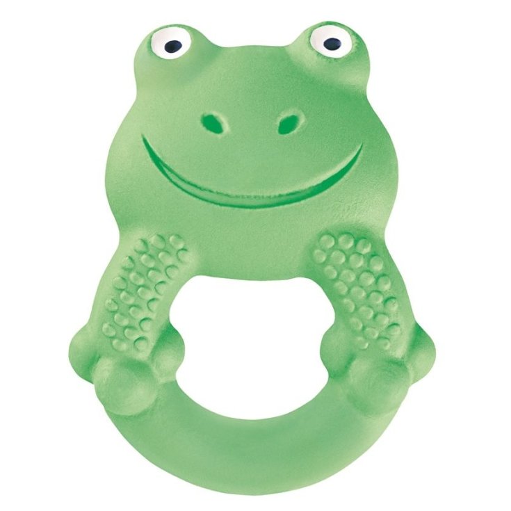 Max The Frog Mam 1 Piece