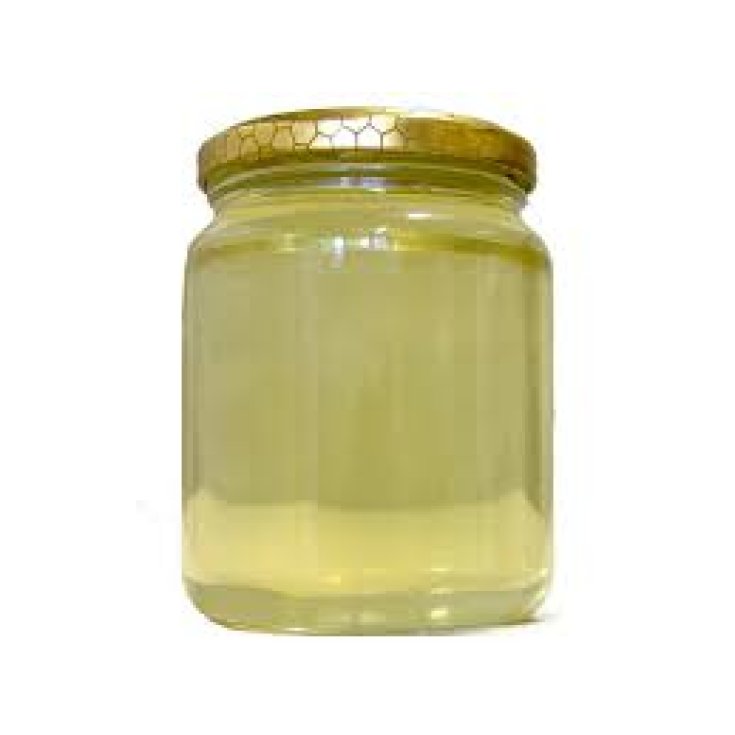 Farmagourmet Acacia Honey 250g