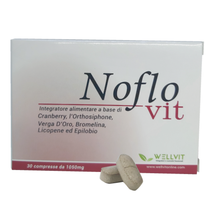 Noflovit WellVit 30 Tablets