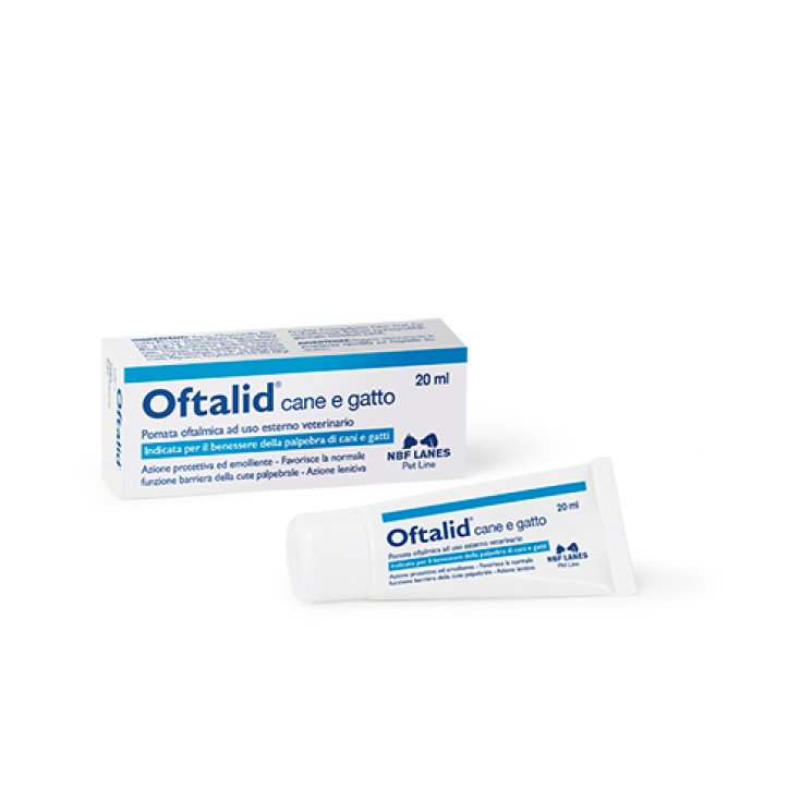 Oftalid Dog And Cat Ophthalmic Ointment NBF Lanes 20ml