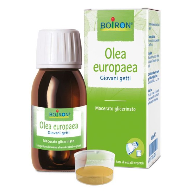 Olea Europaea Boiron Glycerine Macerate 60ml