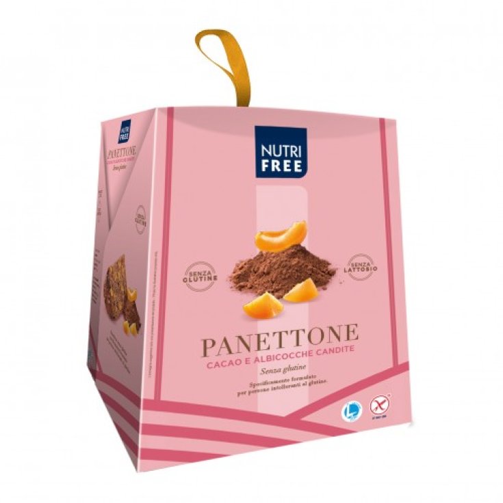 Panettone with Cocoa And Candied Apricots Nutrifree 400g