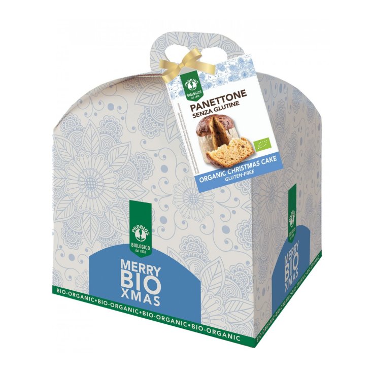 ProBios Panettone 500g