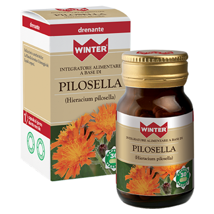 Pilosella Winter® 30 Vegetarian Capsules