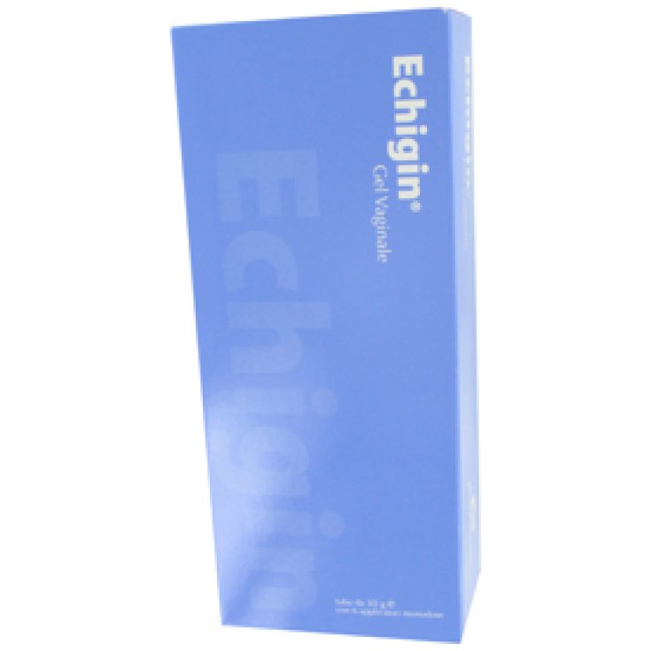 Echigin Vaginal Gel 6 Single-dose Applications 30g