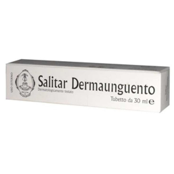 Salitar Cosmetic Workshop Dermaunguento 30ML
