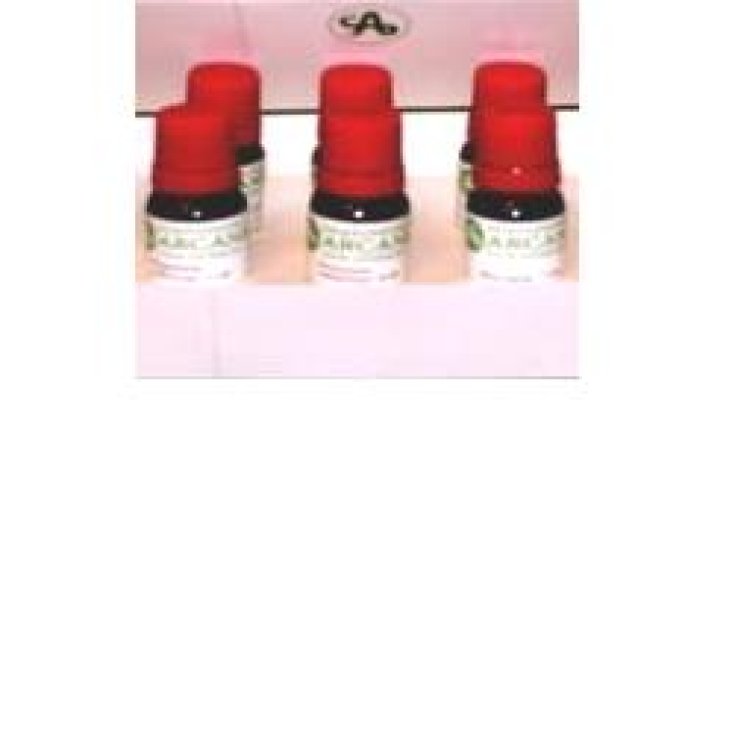 Similia Nux Vomica 6lm Homeopathic Remedy In Drops 10ml