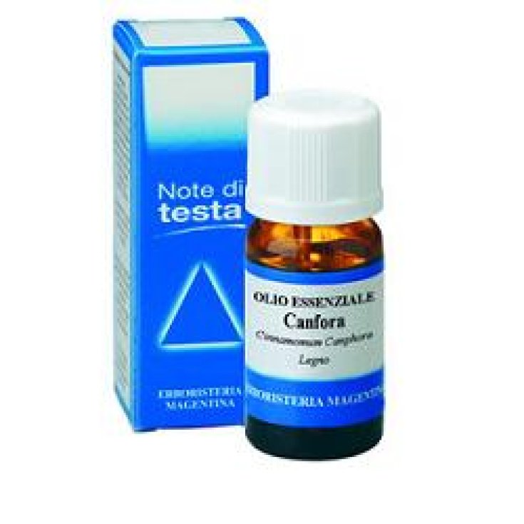 Camphor Oil Ess 10ml