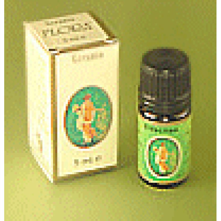 Dill Oil Ess 5ml Demeter