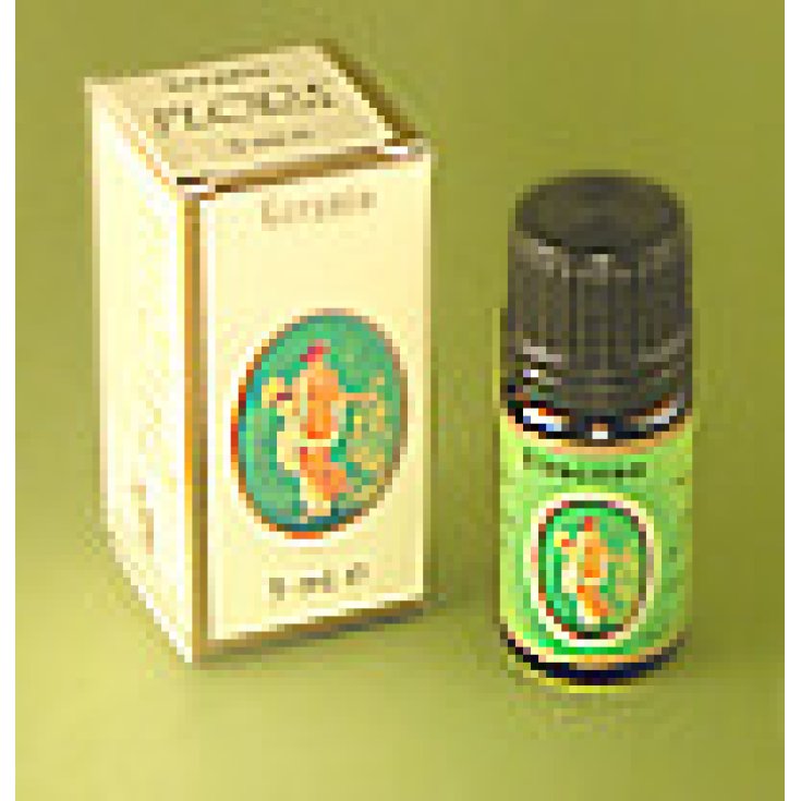 Eucalyptus Rad Oil Ess 5ml