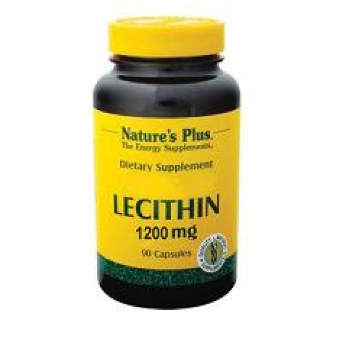 Soy Lecithin 1200 Mg