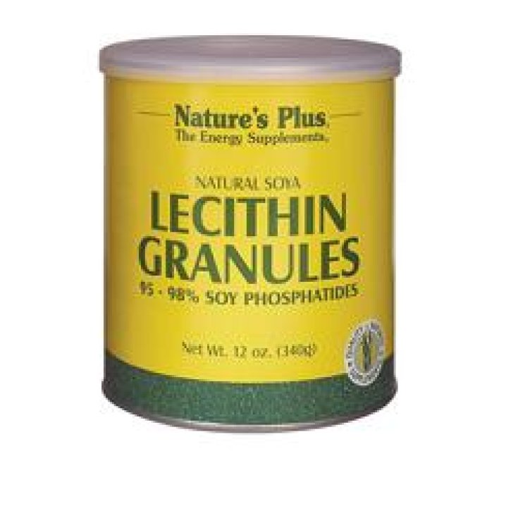 Granular Lecithin 340g