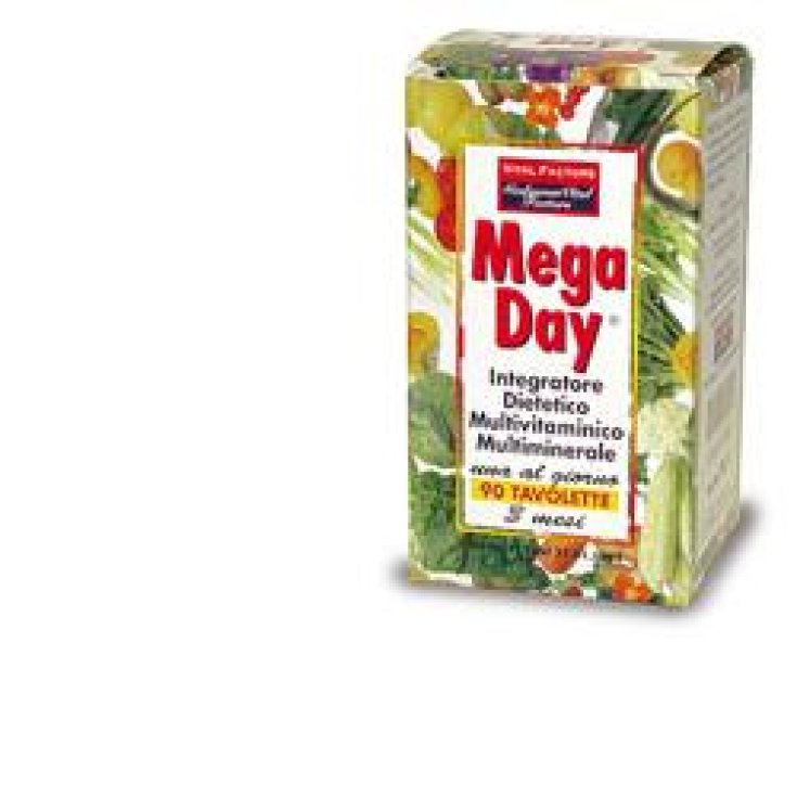 Vital Factors Mega Day Dietary Supplement Multivitamin Multimineral 90 Tablets