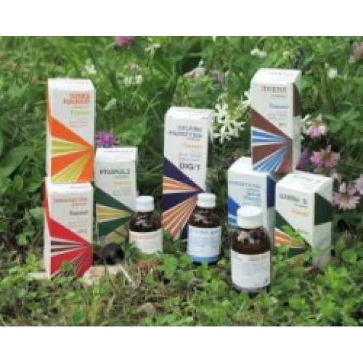 Raemil Dpr1 Viola Tricolore Compound Hydroalcoholic Maceration 25ml