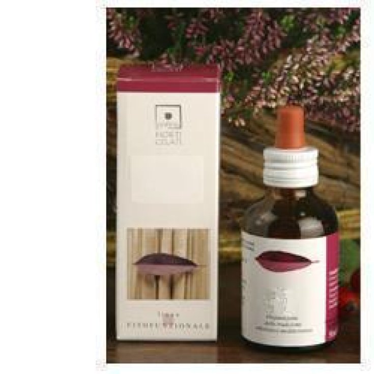 Santiveri Ribes Nigum Glyceroalcoholic Extract 50ml
