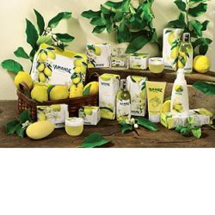 L'amande Fior Di Limone Aromatic Shower Gel