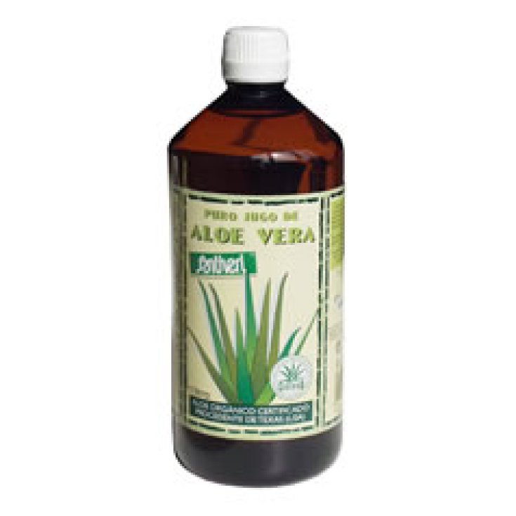Aloe Vera Juice 1000ml Stv