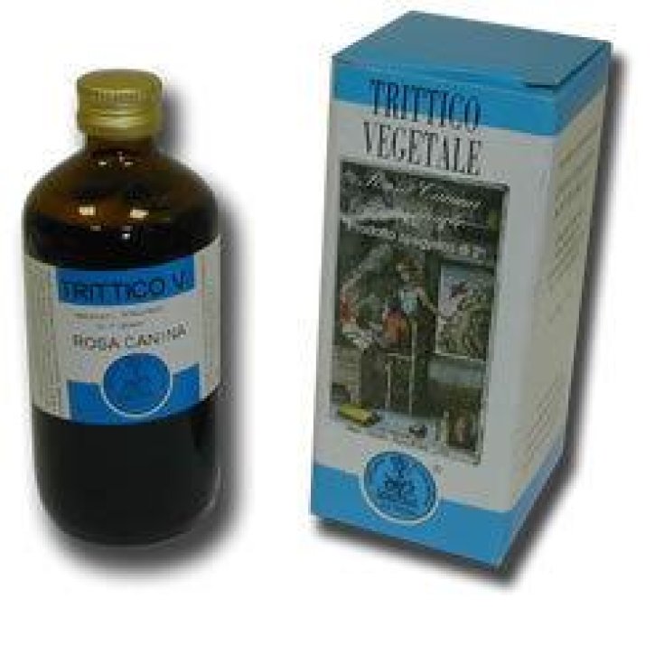 Vegetable Triptych Rosa Canina Syrup 250ml