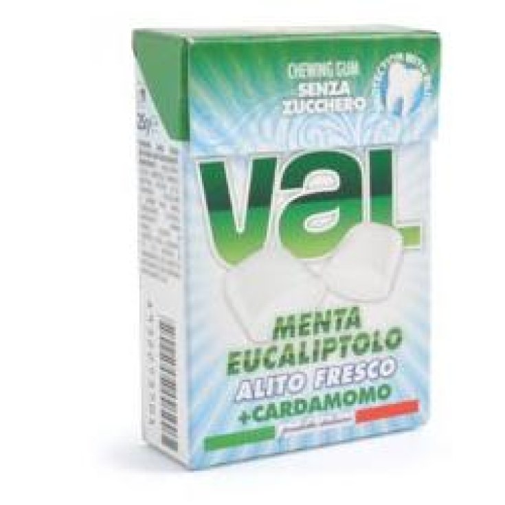 Val Chewing Gum With Mint Eucalyptus Sugar Free 25g