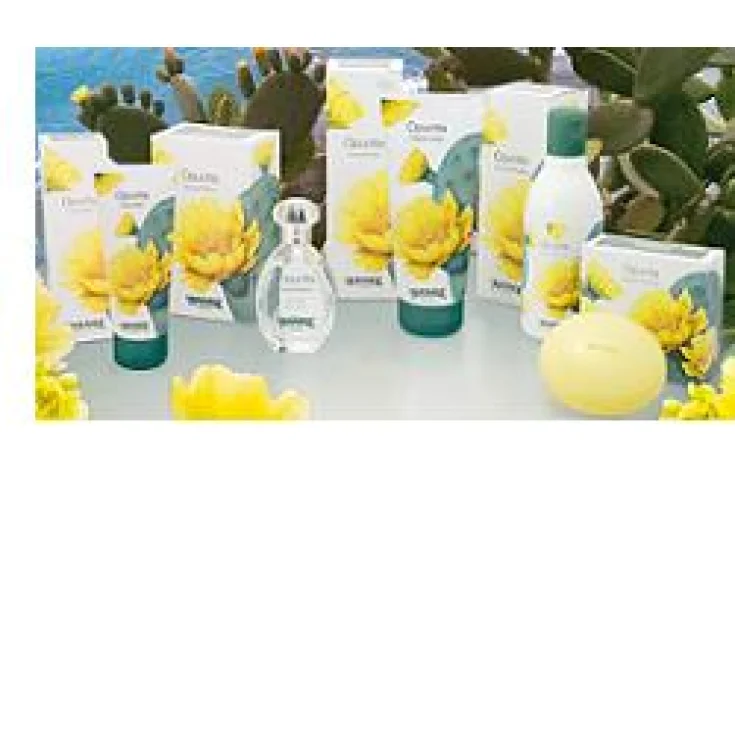 L'Amande Opuntia Body Cream 200ml