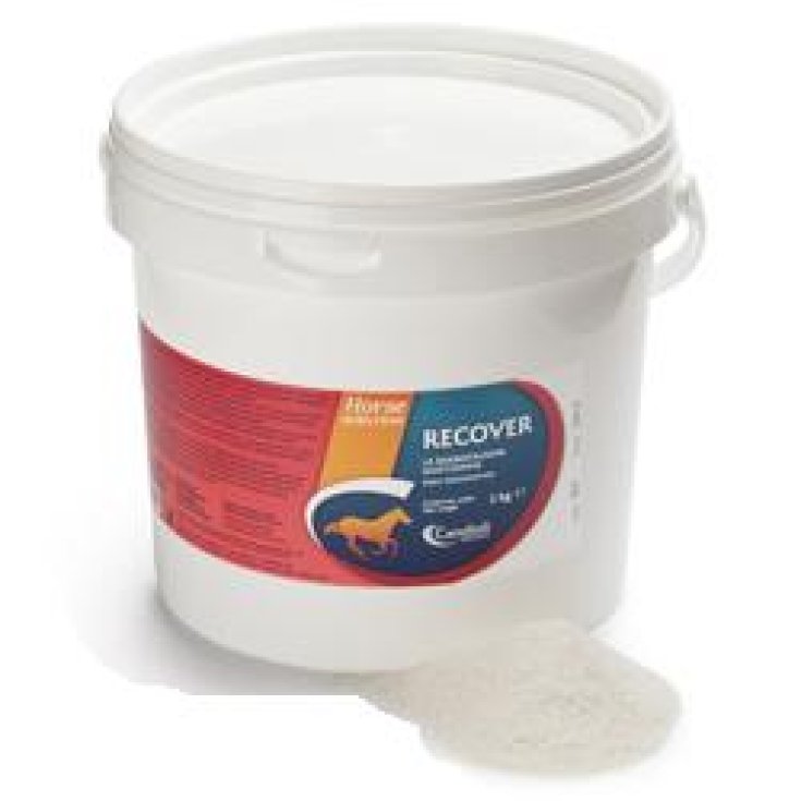 Candioli Recover Rehydrating Mineral Feed For Horses 3kg