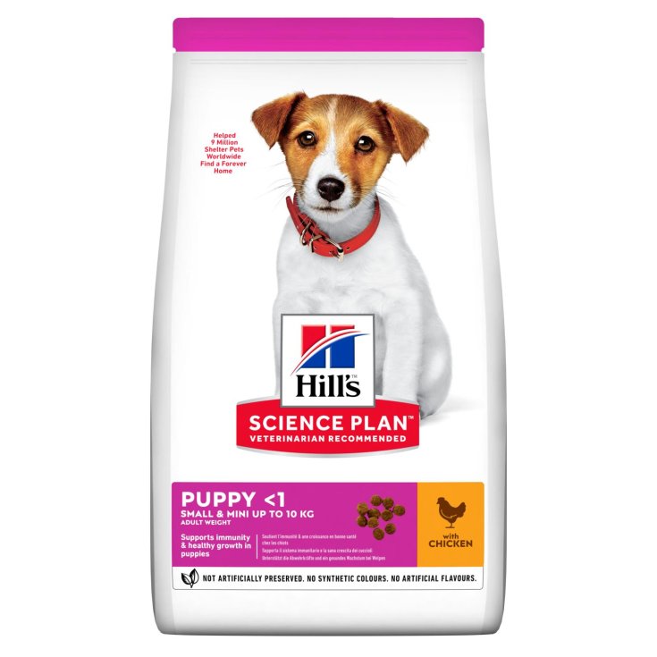 Hills puppy clearance food small breed