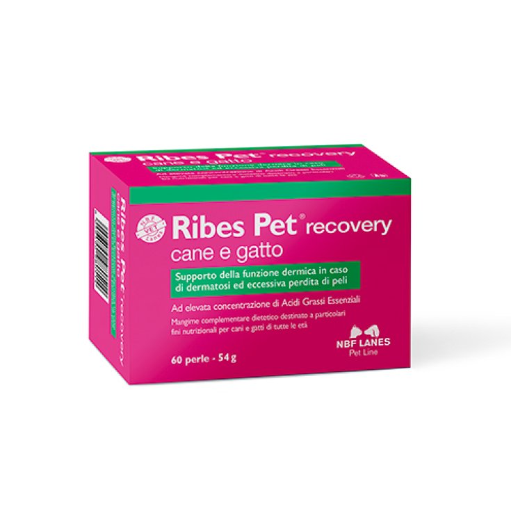 Nbf lanes ribes pet recovery 60 perle