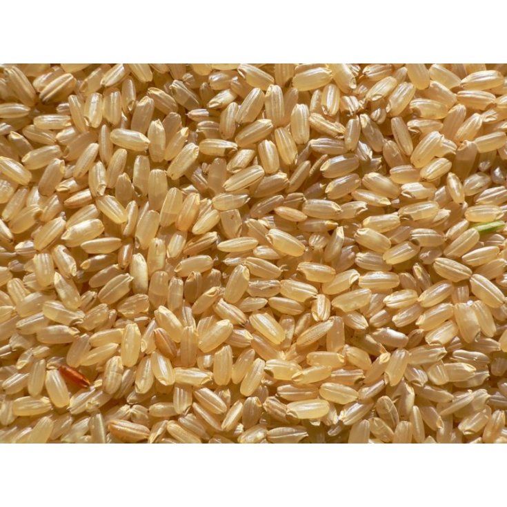 Farmagourmet Brown Rice 1kg