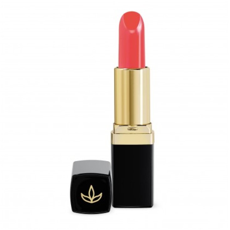 Volumizing Lipstick Pm02 Euphidra 1 Piece