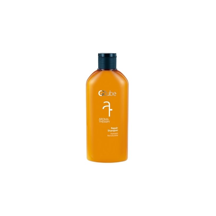 Aroma Restructuring Shampoo Teraphy Gcube® 200ml