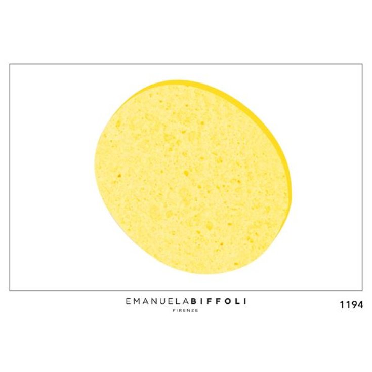 Sponge 1194 Emanuela Biffoli 1 Piece