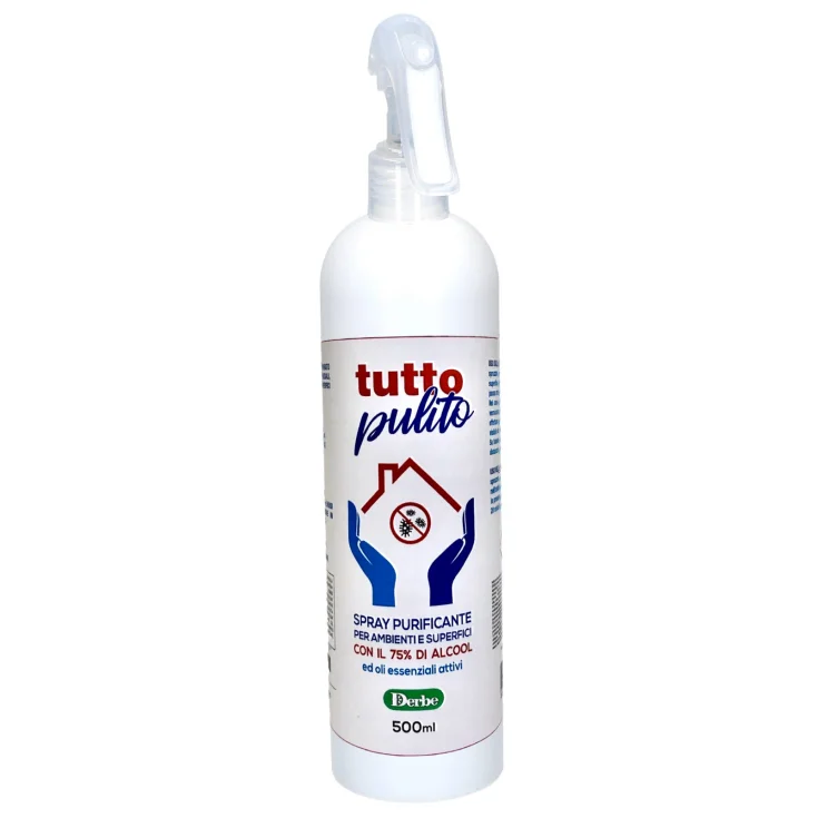 Everything Clean Derbe 500ml