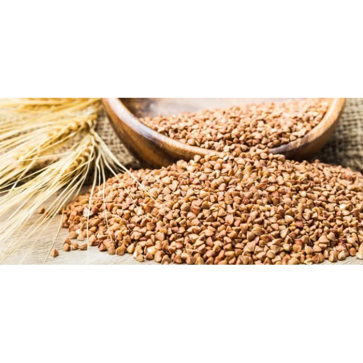 Farmagourmet Buckwheat Soup 420g