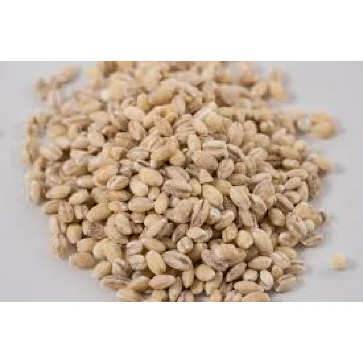 Farmagourmet Barley Soup 420g