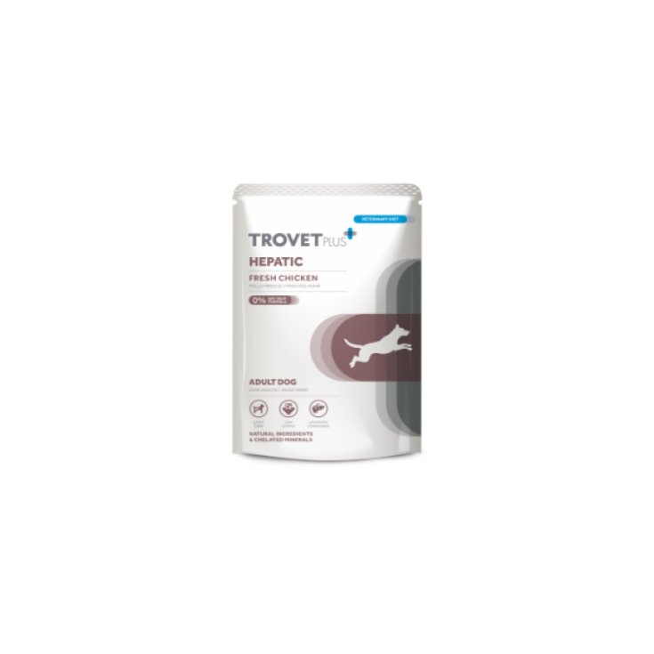 TP WET DOG HEPATIC 300G