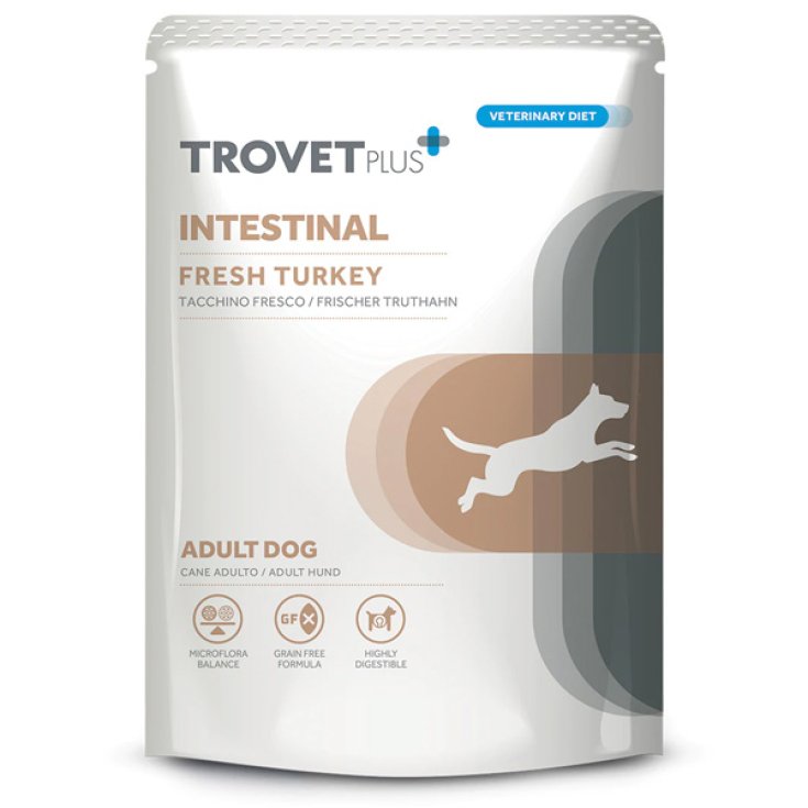 TP WET DOG INTESTINAL 100G