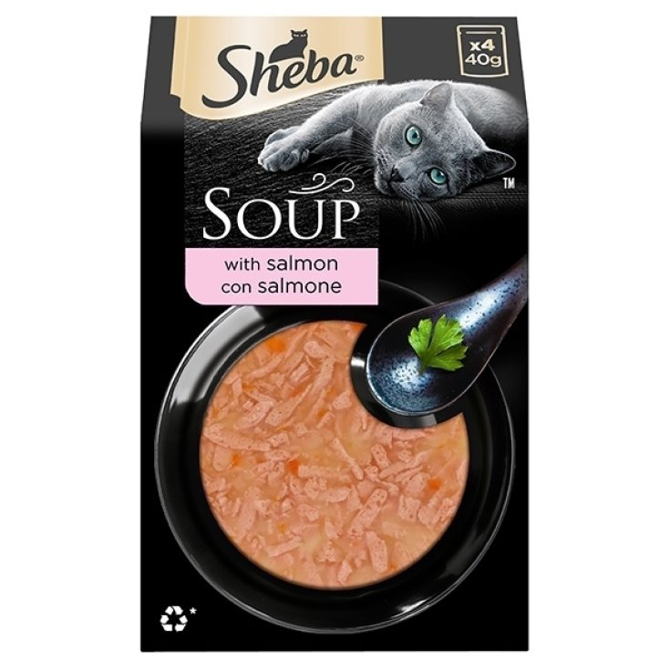 Soup with Salmon - 40 Gr.