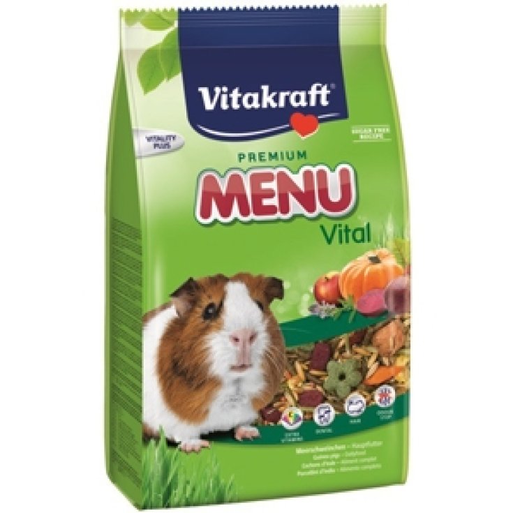 VITAL MENU INDIA PIGS 1KG