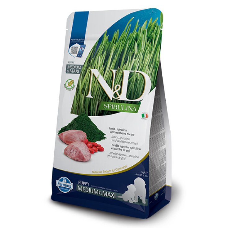 N&D SPIR LAMB PUPPY MED/MAX 2KG