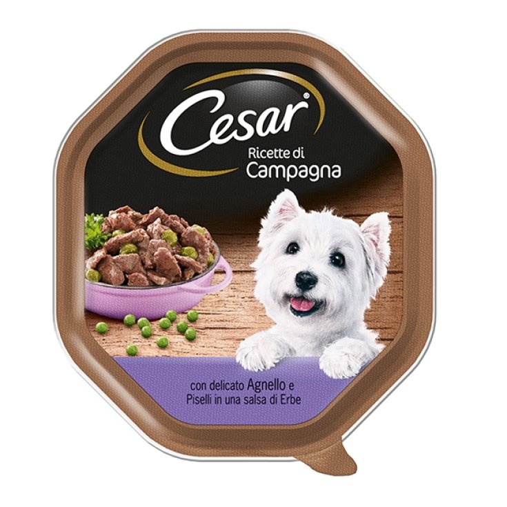 CESAR RECIPES CAMP AGNEL/PISEL