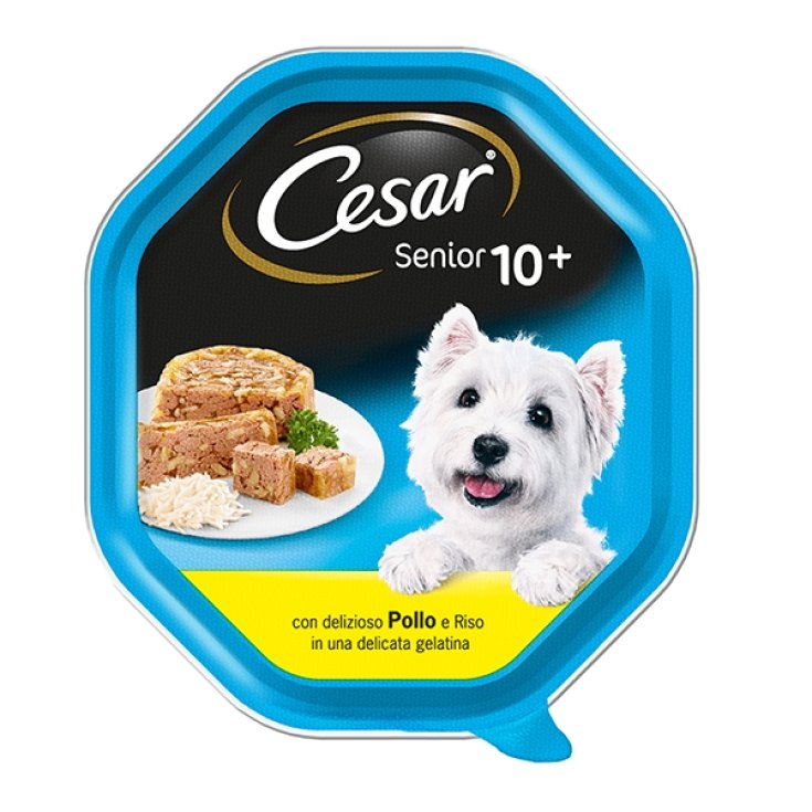 CESAR SENIOR 10+ CHICKEN/RICE GE