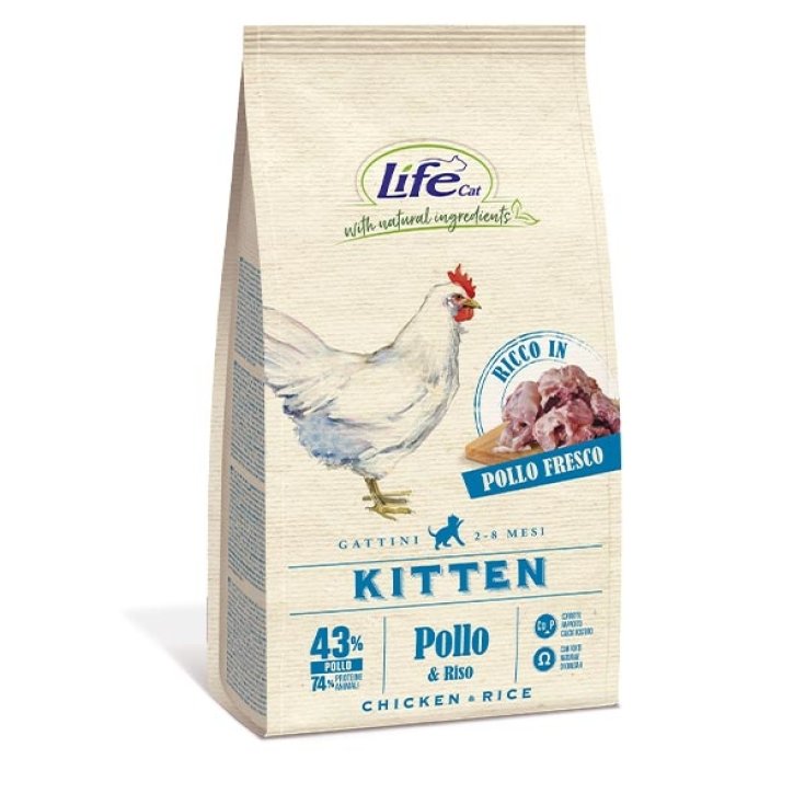 Natural Ingredients Kitten with Chicken - 4