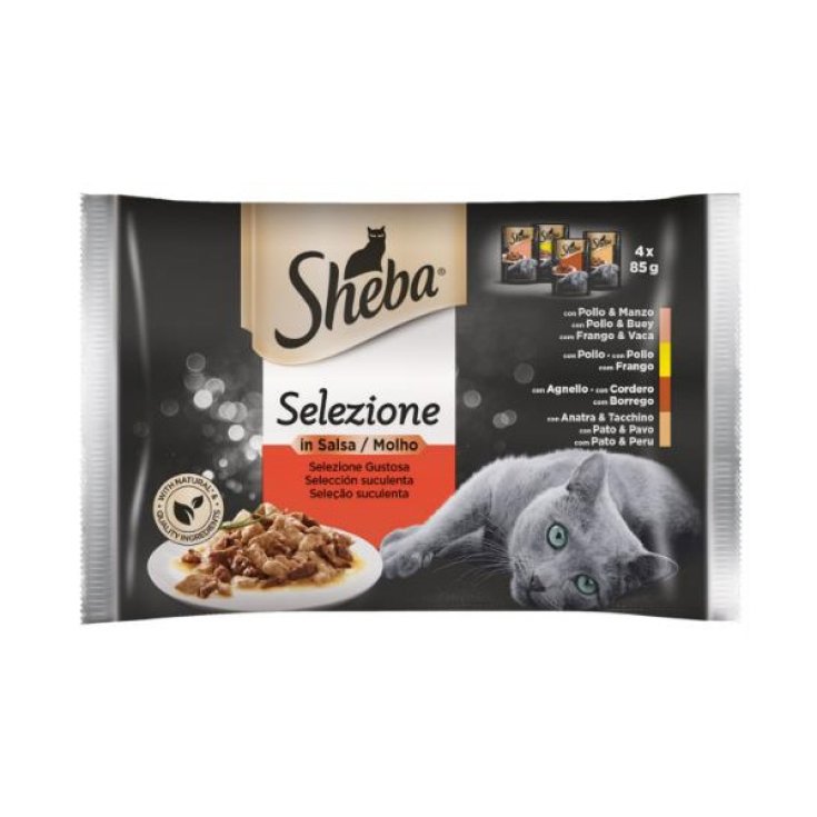 SHEBA MEAT SAUCE SELECTION